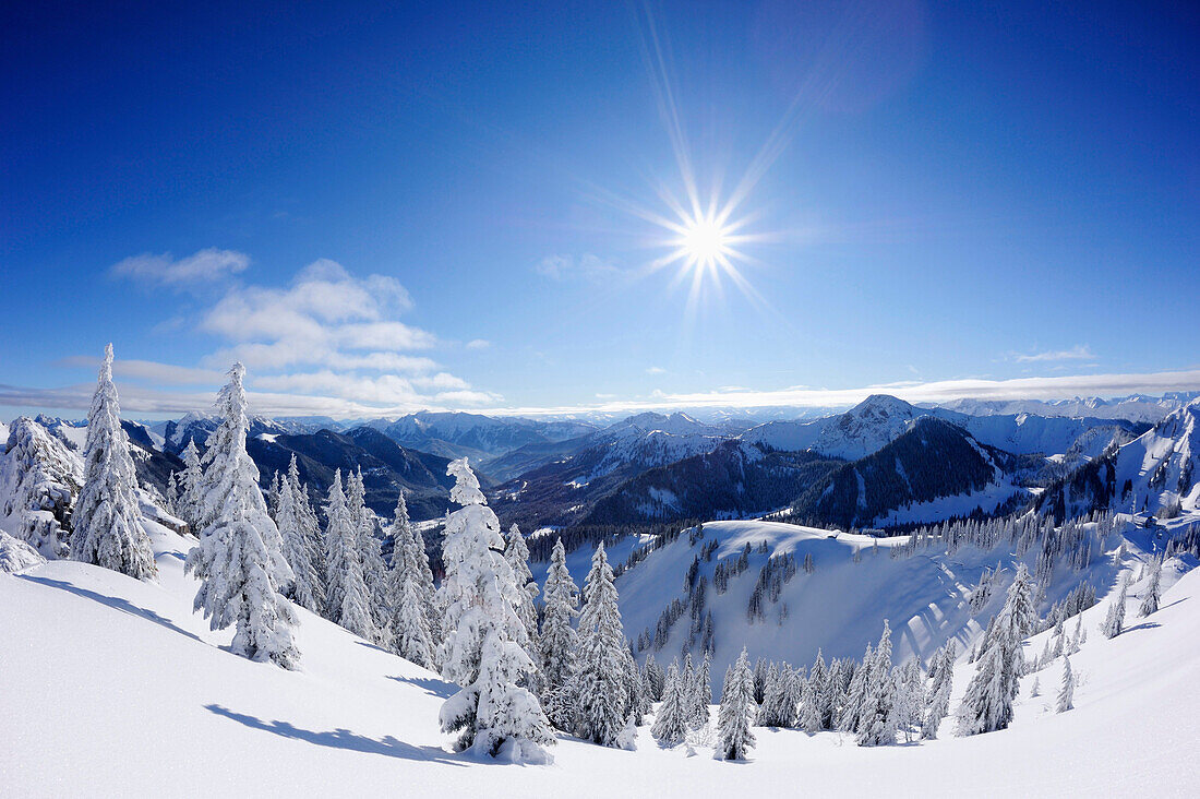 Winterwald am Wallberg mit Blick auf Rofan, Wallberg, Tegernseer Berge, Bayerische Voralpen, Oberbayern, Bayern, Deutschland