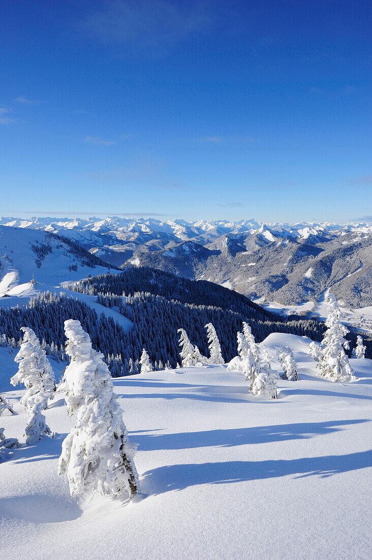 Winterwald mit Blick auf Tegernseer Tal, Wallberg, Tegernseer Berge, Bayerische Voralpen, Oberbayern, Bayern, Deutschland