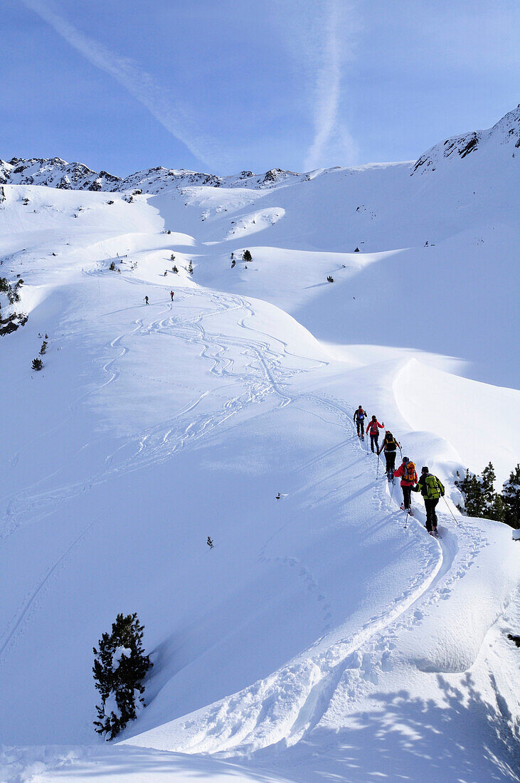 Group of people backcountry skiing, ascending to Pallspitze, Pallspitze, Langer Grund, Kitzbuehel Alps, Tyrol, Austria