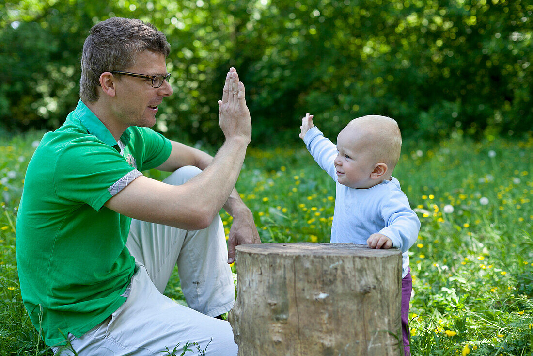 Vater und Sohn, klatschen ab, high five, Blumenwiese in Park, Vater 32 Jahre, Sohn 11 Monate, MR, Leipzig, Sachsen, Deutschland
