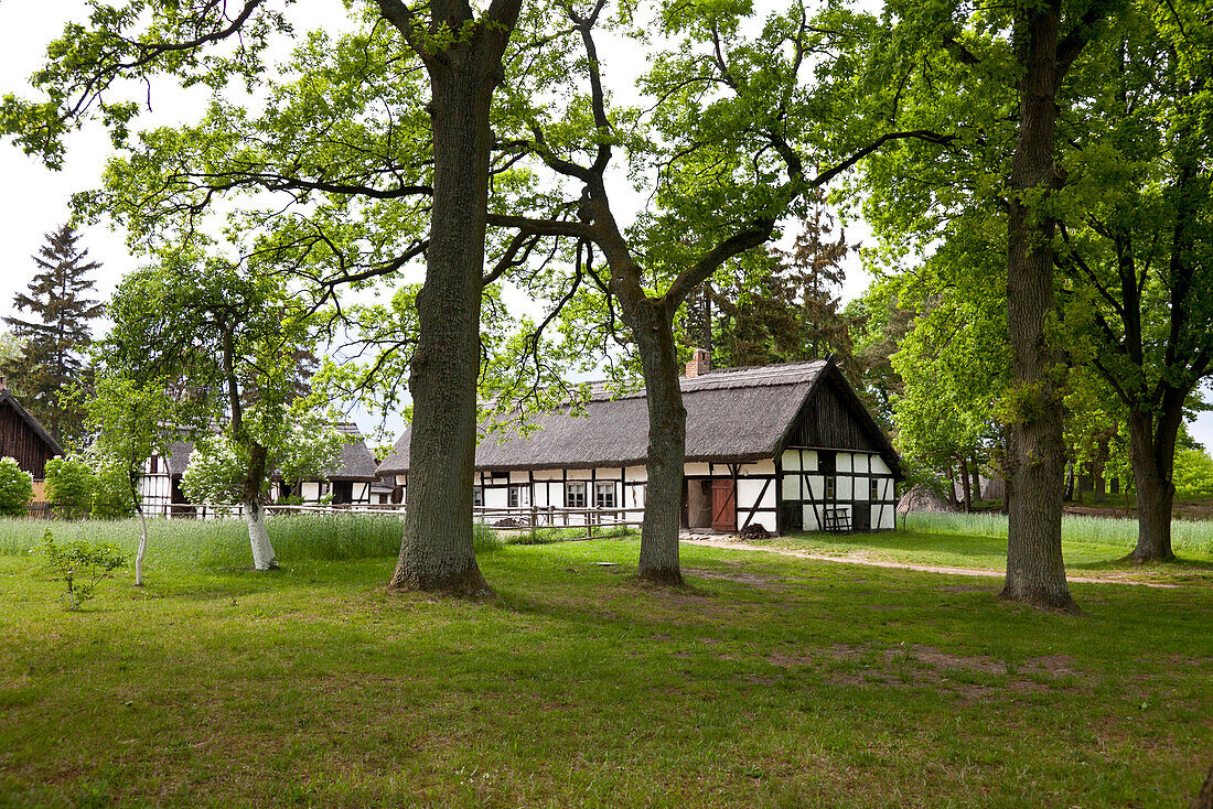 Traditional house with thatched roof in the village Kluki lawn, Polish Baltic Sea coast, Kluki, Pomeranian, Poland