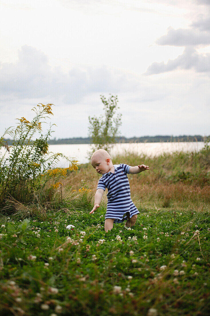 Kleiner Junge läuft durch eine Wiese am See, Cospudener See, Kleinkind ist 14 Monate alt, MR, Leipzig, Sachsen, Deutschland