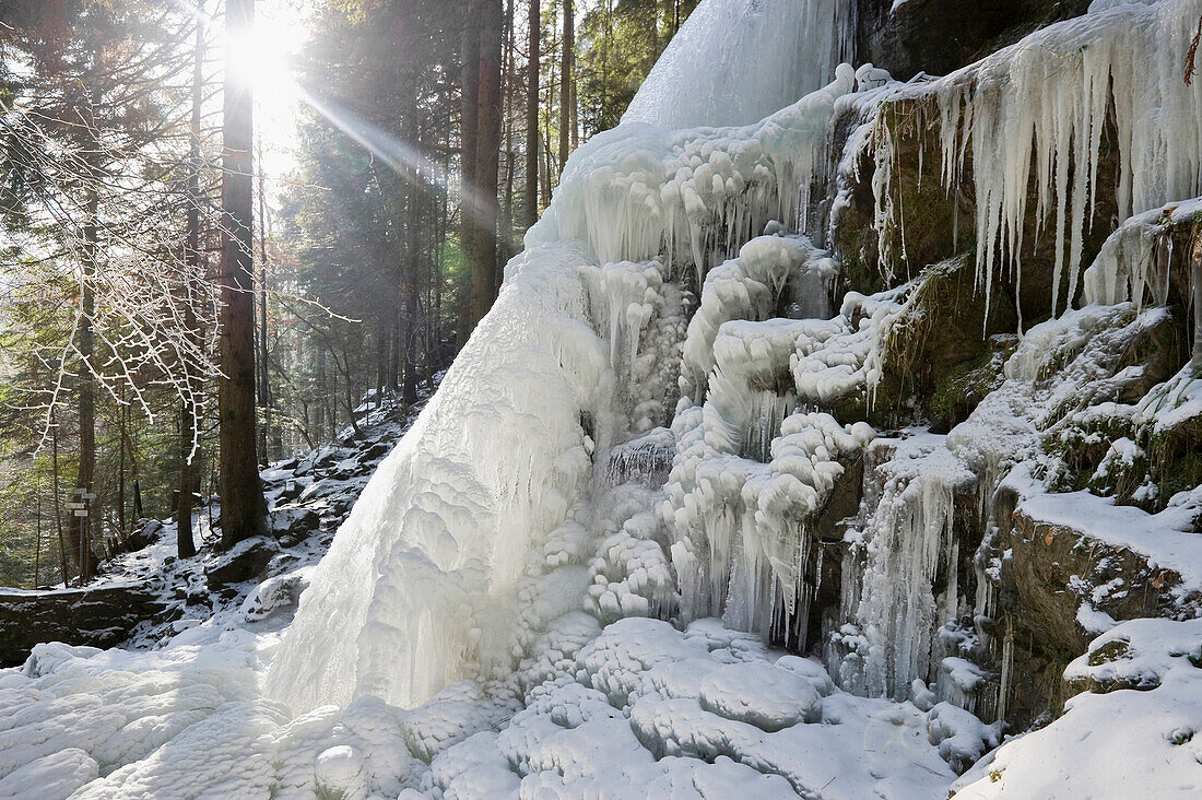 Frozen waterfall near Hinterzarten, Black Forest, Baden-Wurttemberg, Germany