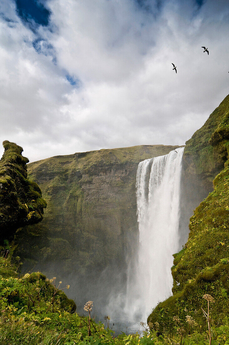 Waterfall, Skogafoss, Iceland, Scandinavia, Europe