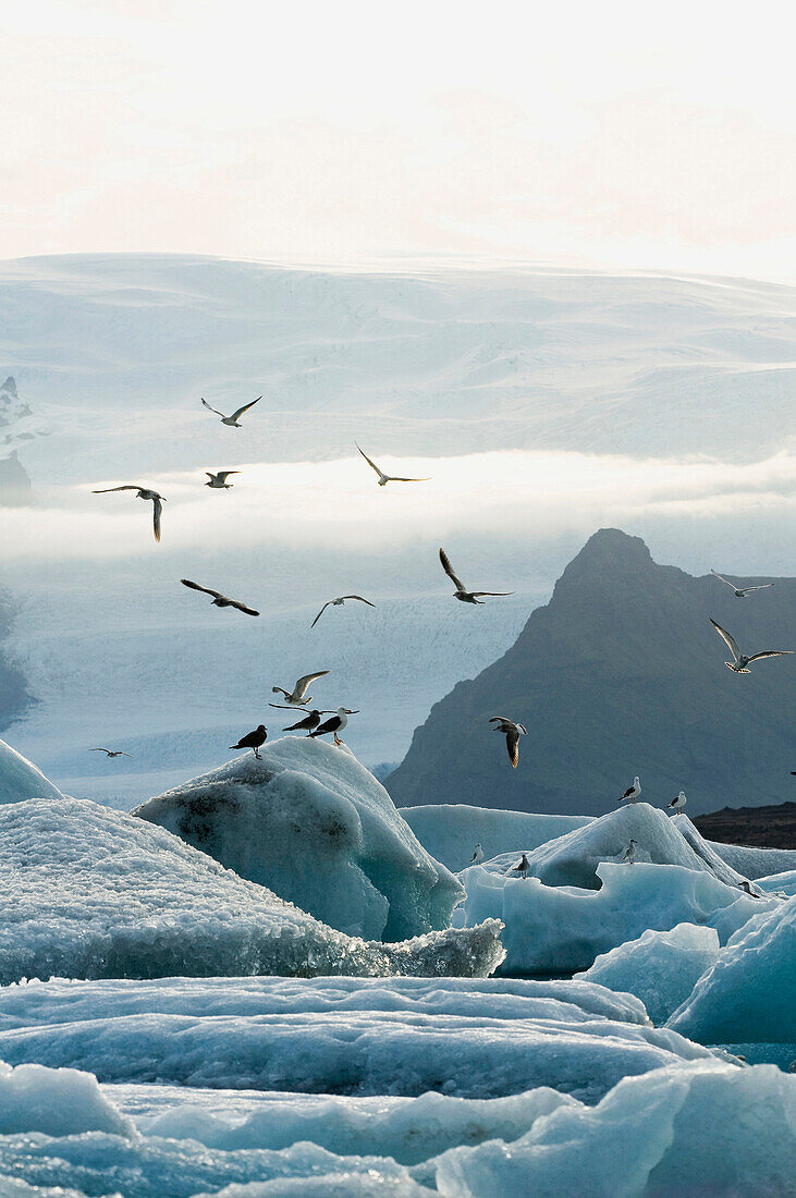 Glacier lagoon, Jokulsarlon, Iceland, Scandinavia, Europe
