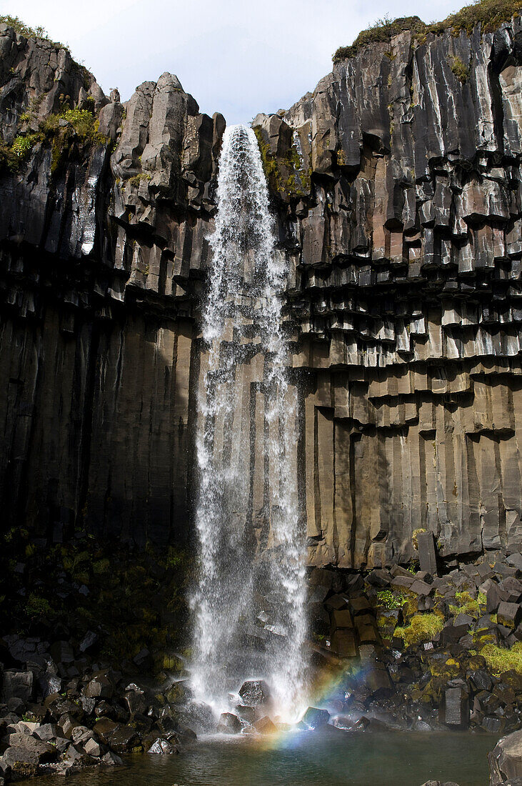 Svartifoss waterfall in Skaftafell National Park, Iceland, Scandinavia, Europe