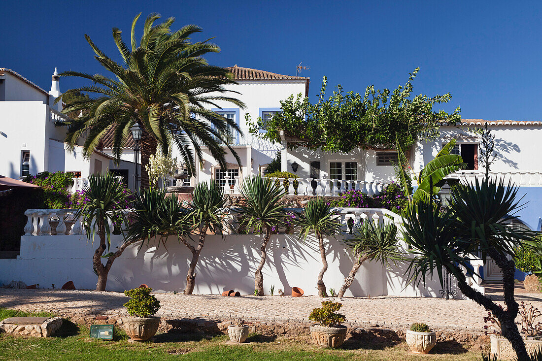 Summer cottage with palm trees near Lagos, Algarve, Portugal, Europe