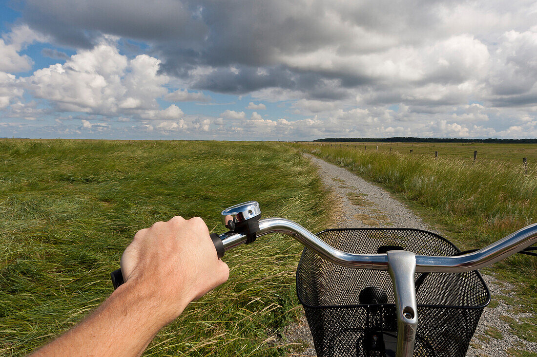 Cyclist in salt march, Wadden lands, North Sea coast, Lower Saxony, Germany, Europe