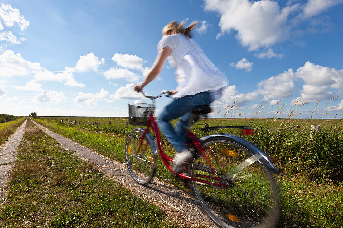 Young woman on bicycle in salt marsh, Wadden lands, North Sea coast, Lower Saxony, Germany, Europe