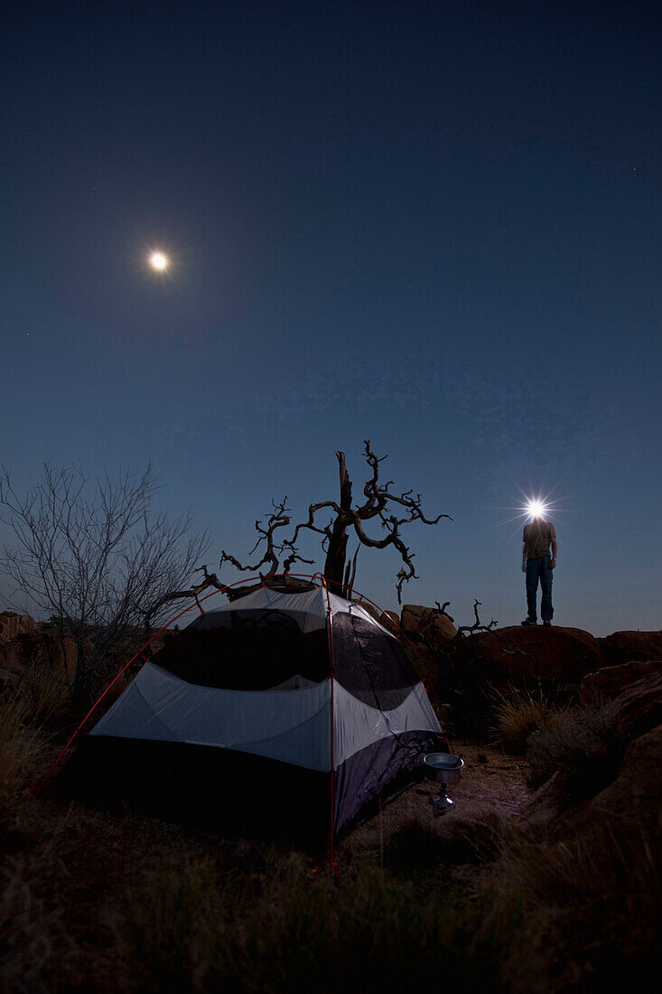 Zelt bei Mondschein, Mann mit Stirnlampe im Joshua Tree Nationalpark, Riverside County, Kalifornien, USA, Amerika