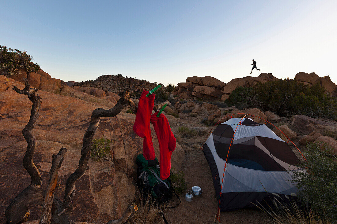 Tent and socks, man jumping at Joshua Tree National Park at dusk, Riverside County, California, USA, America