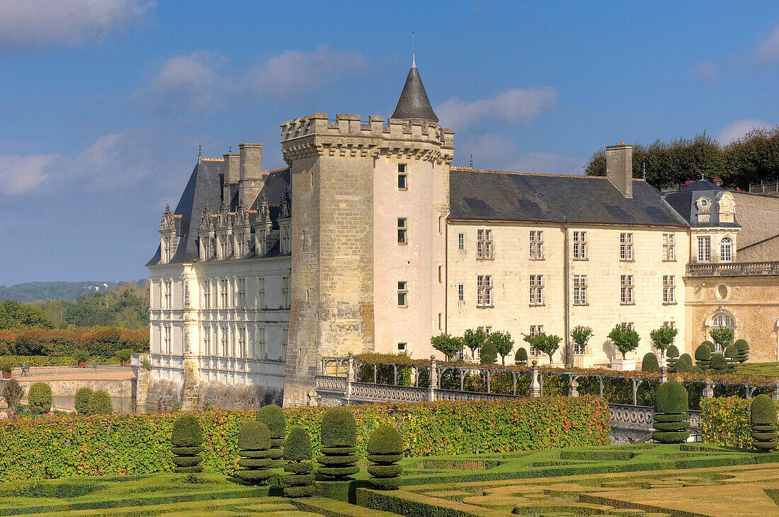 Villandry castle with garden, Villandry, Indre-et-Loire, France, Europe