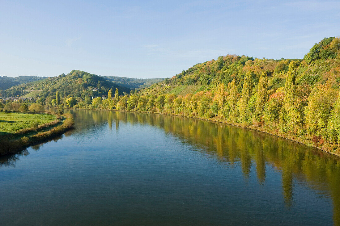 Moselle river at Kluesserath in autumn, Kluesserath, Rhineland-Palatinate, Germany, Europe