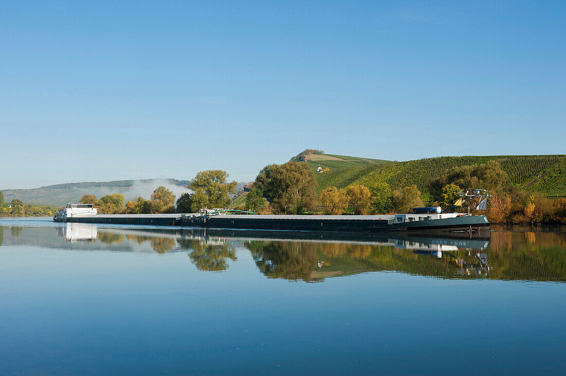 Mosel bei Trittenheim mit Frachtschiff, Trittenheim, Rheinland-Pfalz, Deutschland, Europa