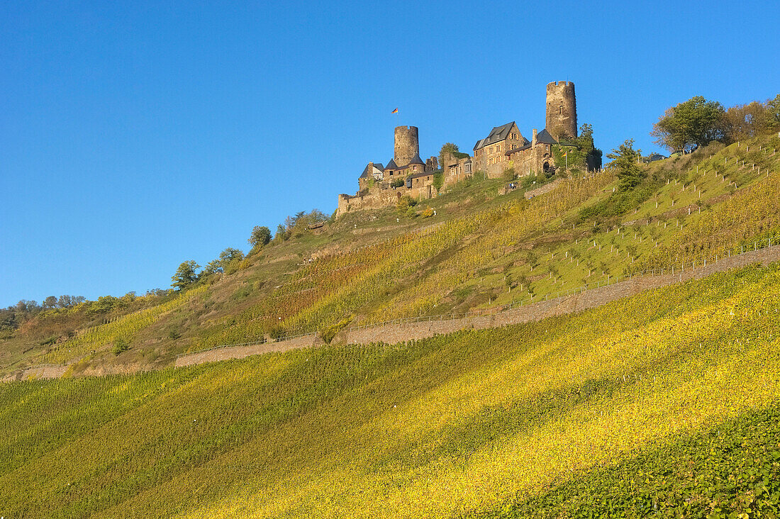 View of Thurant castle, Alken, Rhineland-Palatinate, Germany, Europe