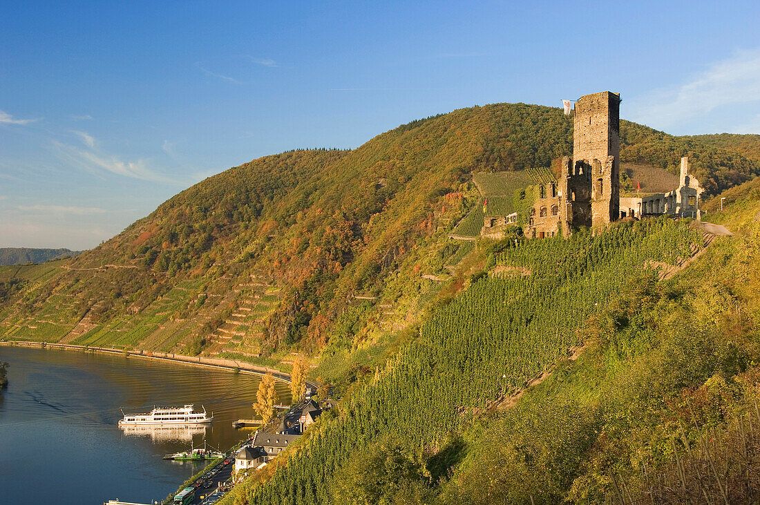 Blick auf Burgruine Metternich mit Beilstein an der Mosel im Herbst, Beilstein, Rheinland-Pfalz, Deutschland, Europa