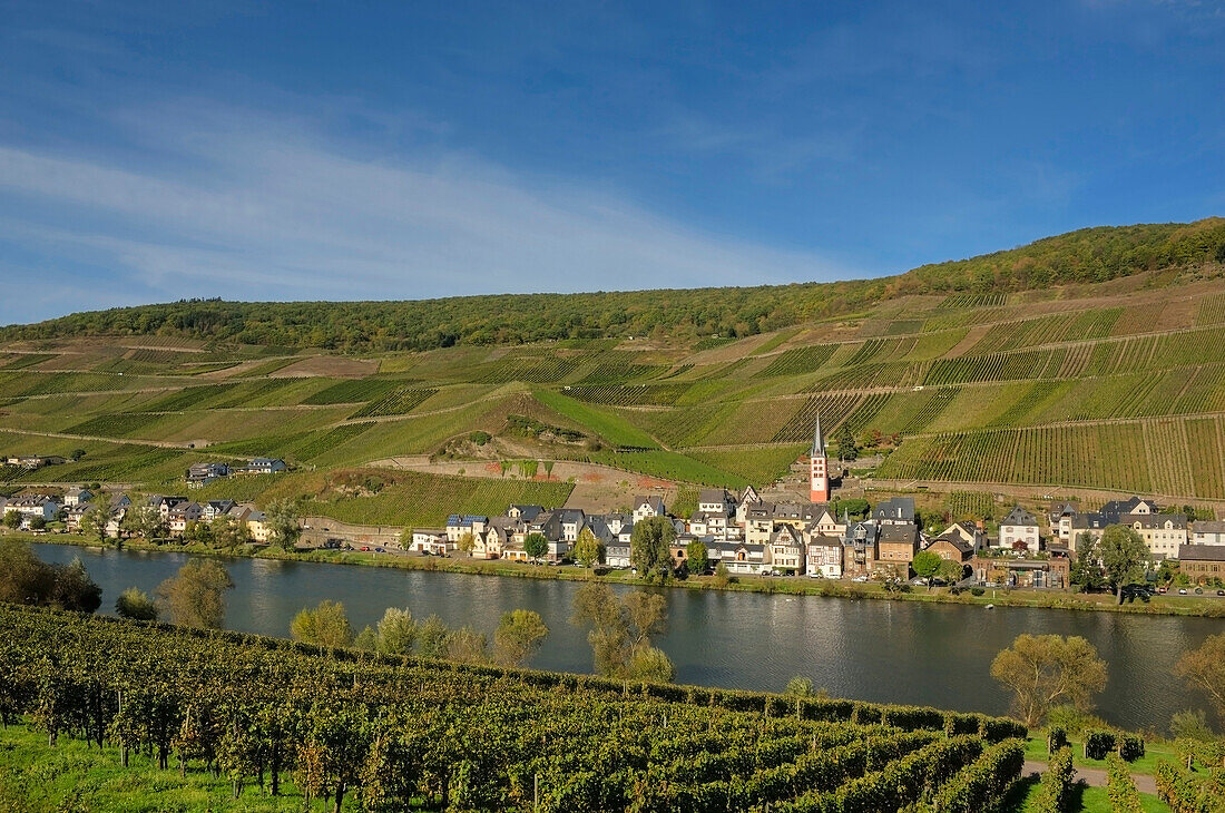 View of Zell-Merl at Moselle river, Zell, Rhineland-Palatinate, Germany, Europe