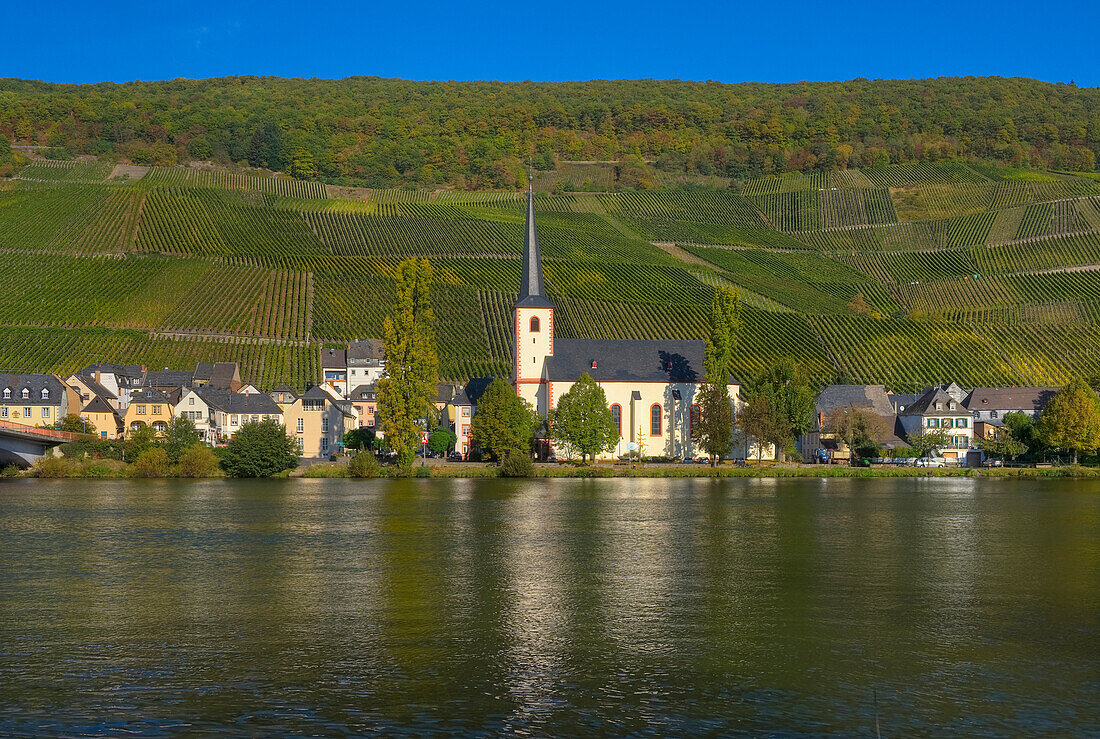 Blick auf Piesport und Mosel, Piesport, Rheinland Pfalz, Deutschland