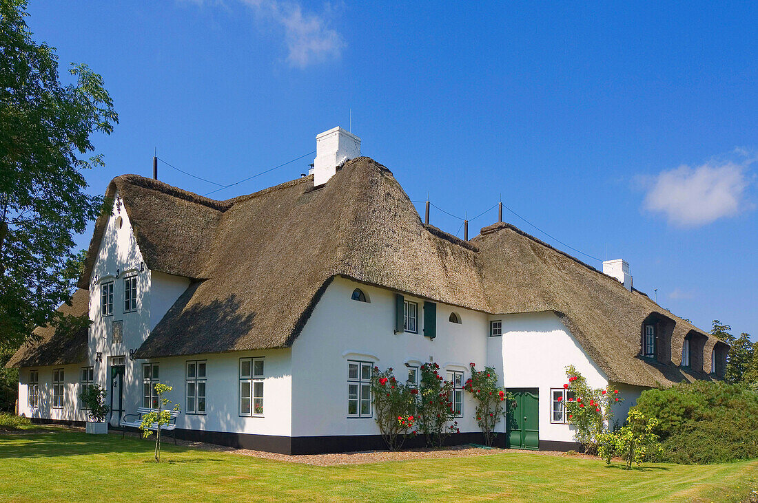 Friesian house in Keitum, Keitum, Sylt, Schleswih-Holstein, Germany