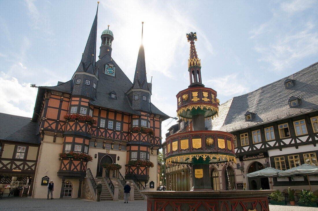 Fountain, guild hall, Wernigerode, Harz, Saxony-Anhalt, Germany