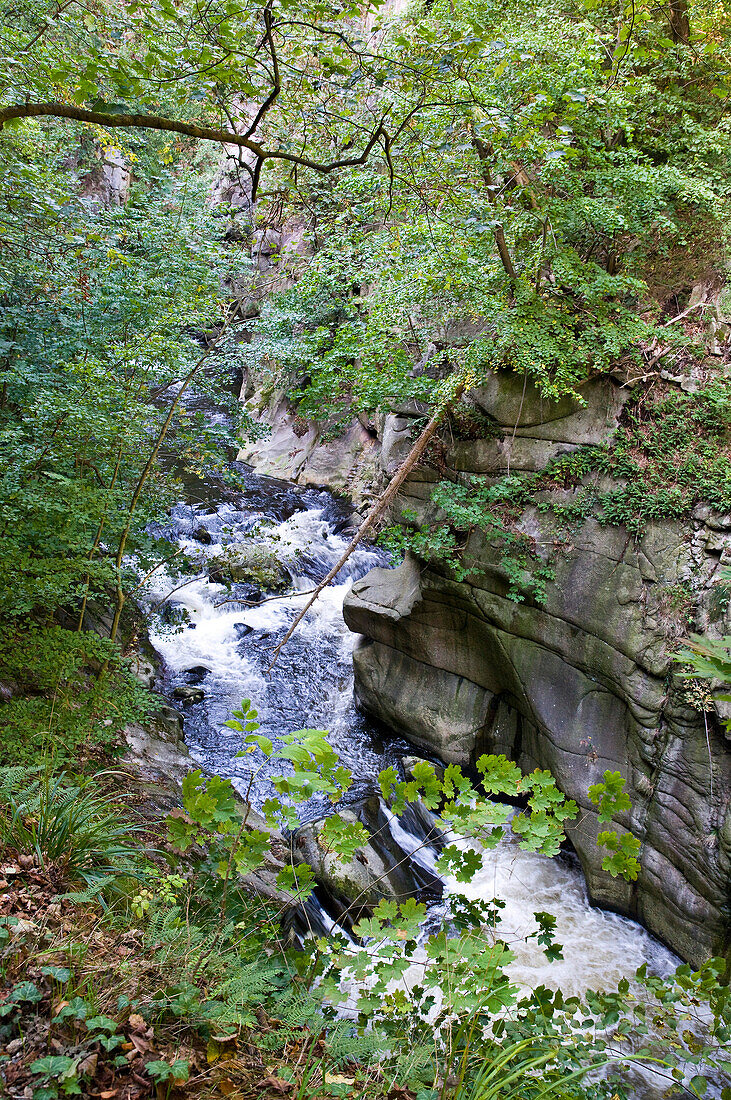 Bodekessel, Bode Valley, Thale, Harz, Saxony-Anhalt, Germany