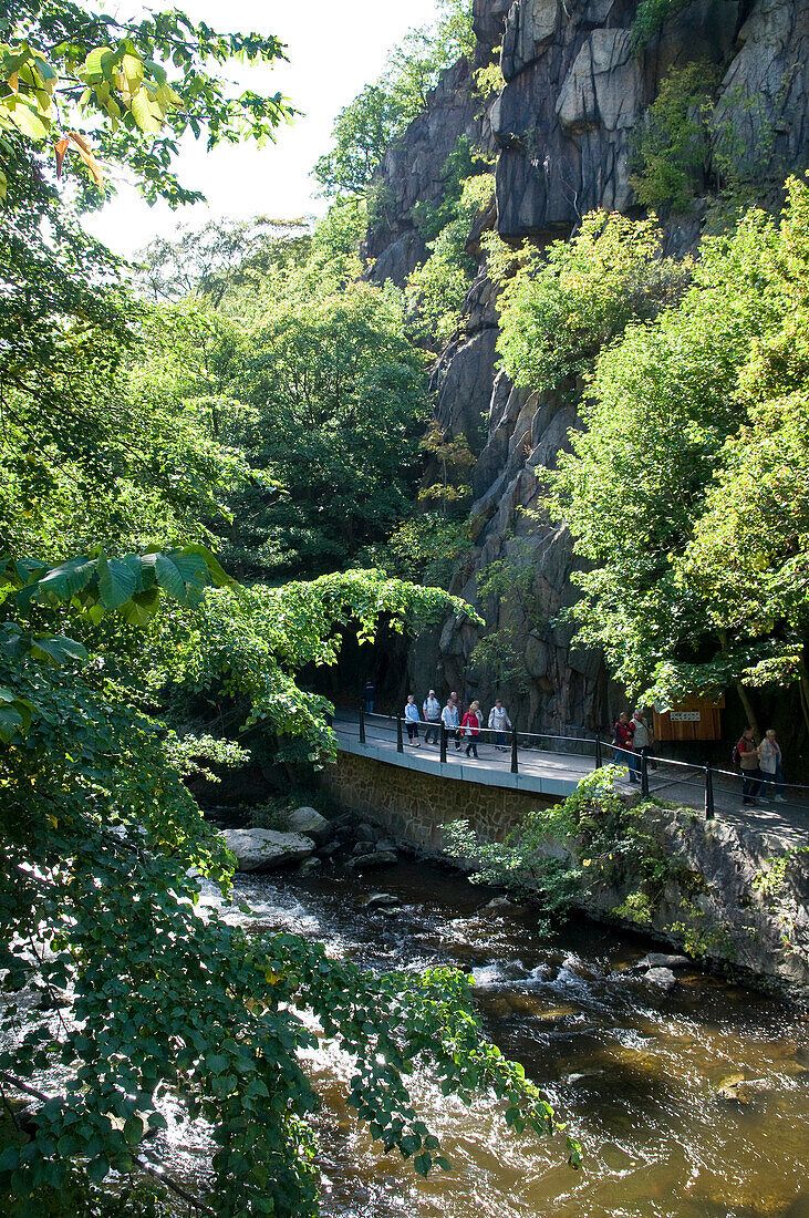 Wanderweg im Bodetal, Thale, Harz, Sachsen-Anhalt, Deutschland