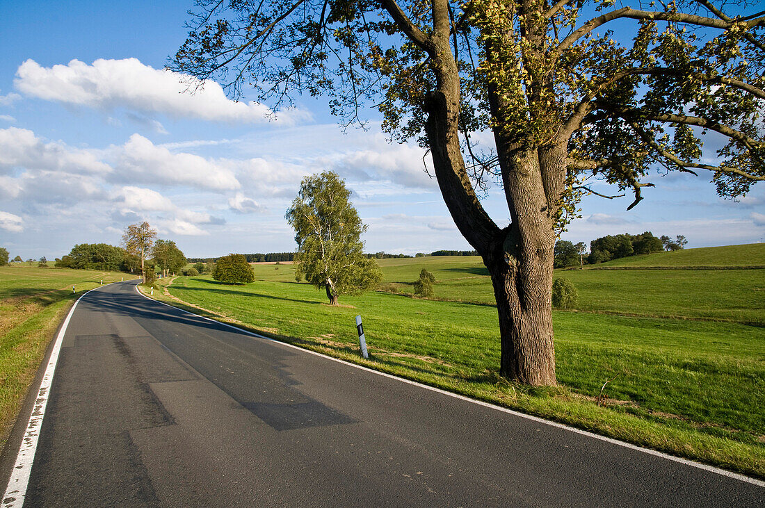 Country road, landscape Unterharz, Harz, Saxony-Anhalt, Germany