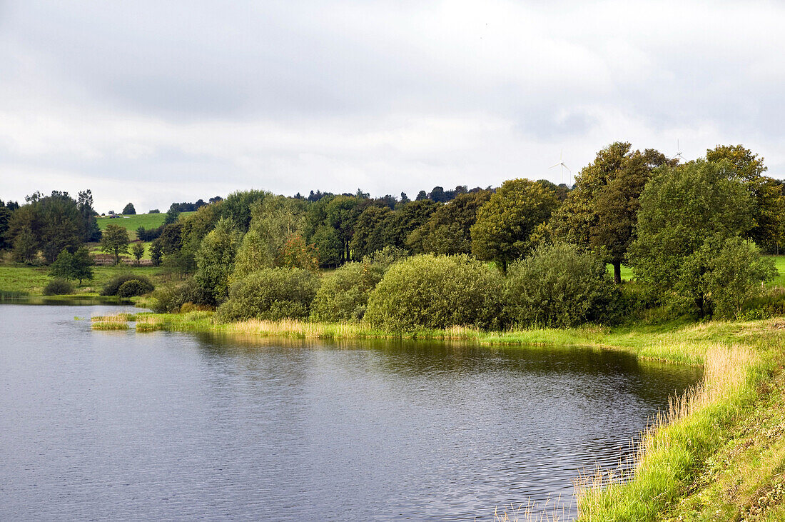 Stadtweger lake, UNESCO World heritage site, Upper Harz Water Regale, Clausthal-Zellerfeld, Harz, Lower Saxony, Germany