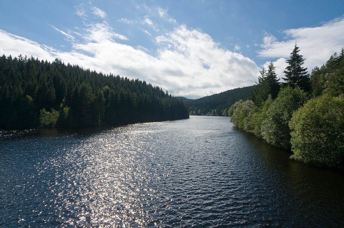 Romantischer Seitenarm, Okerstausee, Oker-Talsperre, Harz, Niedersachsen, Deutschland