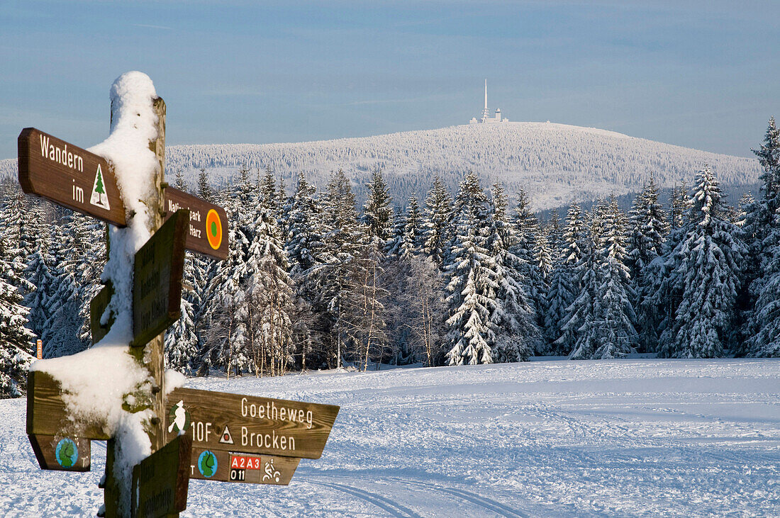 Wanderwegweiser, verschneiter Winterwald, Brocken im Hintergrund, Braunlage, Schnee, Winter, Harz, Niedersachsen, Deutschland