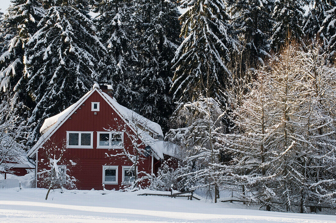 Cottage with winter landscape Koenigskrug near Braunlage, Harz, Lower Saxony, Germany