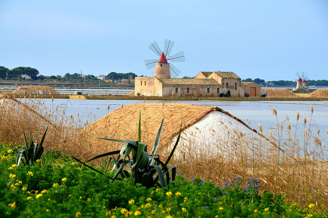 Saltfields of Mozia, San Pantaleo, Sizily, Italy