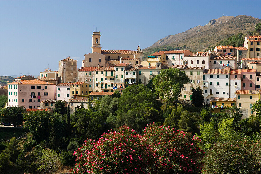 Häuser im Sonnenlicht, Rio nell'Elba, Elba, Toskana, Italien, Europa