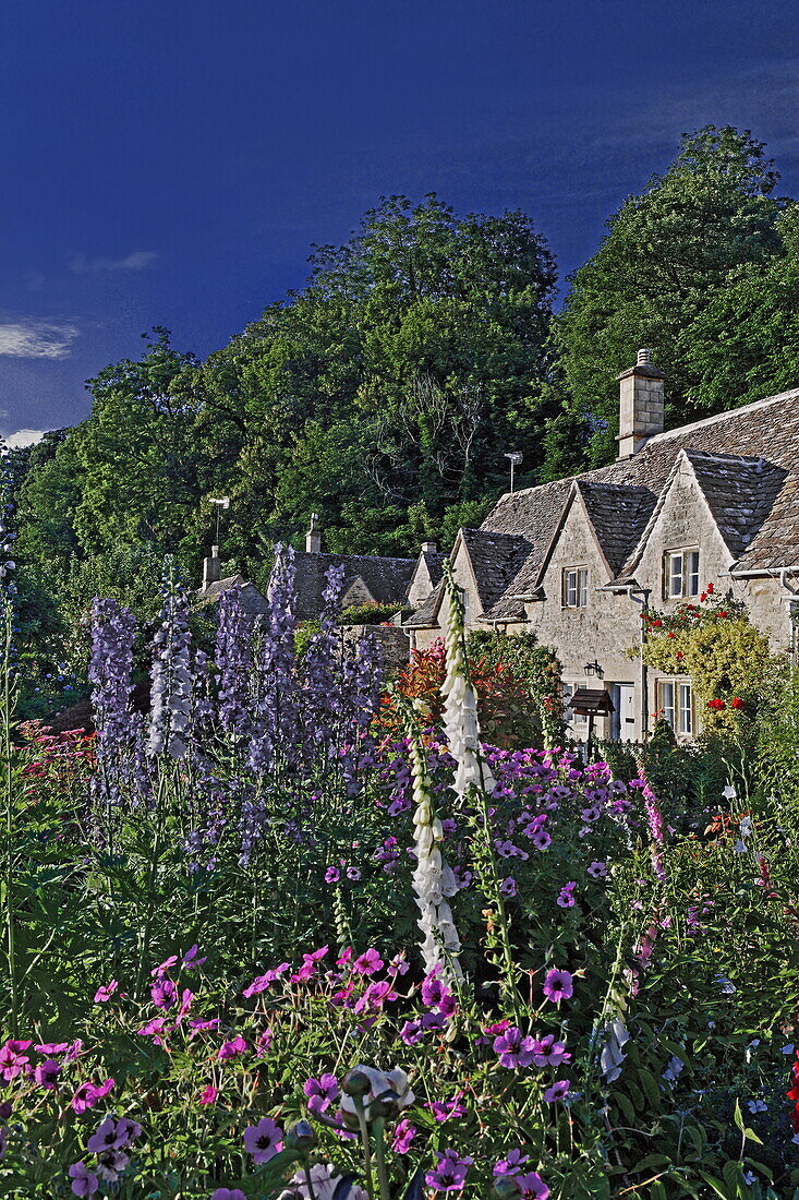Häuser und Blumen im Sonnenlicht, Bibury, Gloucestershire, Cotswolds, England, Großbritannien, Europa