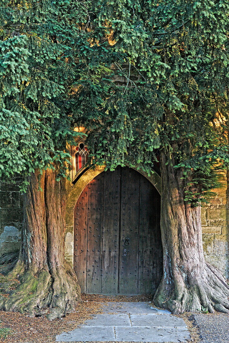 Kirchentür der St. Edward Kirche zwischen zwei Bäumen, Stow-on-the-Wold, Gloucestershire, Cotswolds, England, Großbritannien, Europa