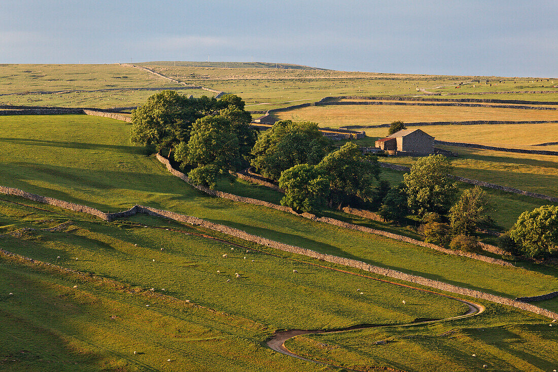 Hartlington, Yorkshire Dales National Park, Yorkshire Dales, Yorkshire, England, Great Britain, Europe