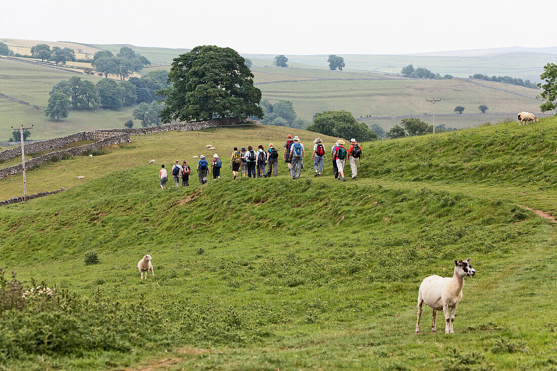 Hikers in Yorkshire Dales National Park, Yorkshire Dales, Yorkshire, England, Great Britain, Europe