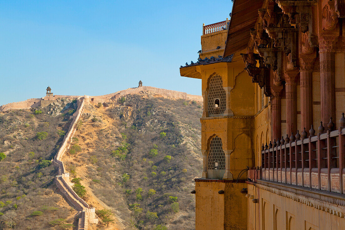 Amber Fort and Wall, Jaipur, Rajasthan, India