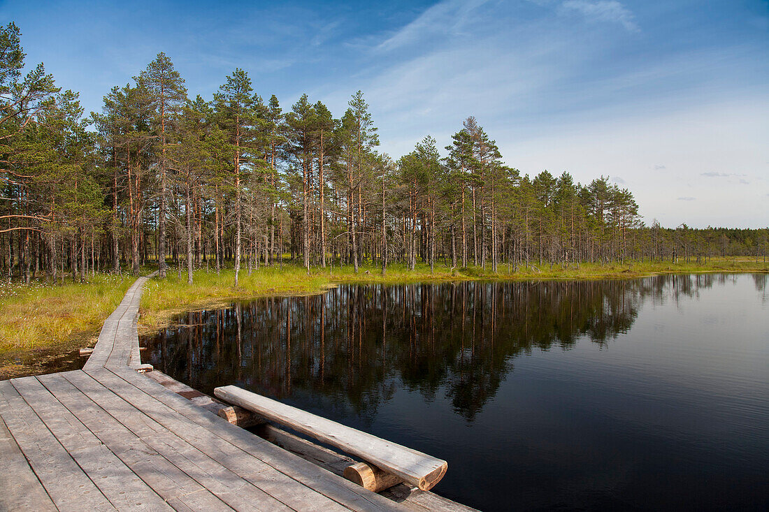 Calm Lake in Viru Bog, Estonia