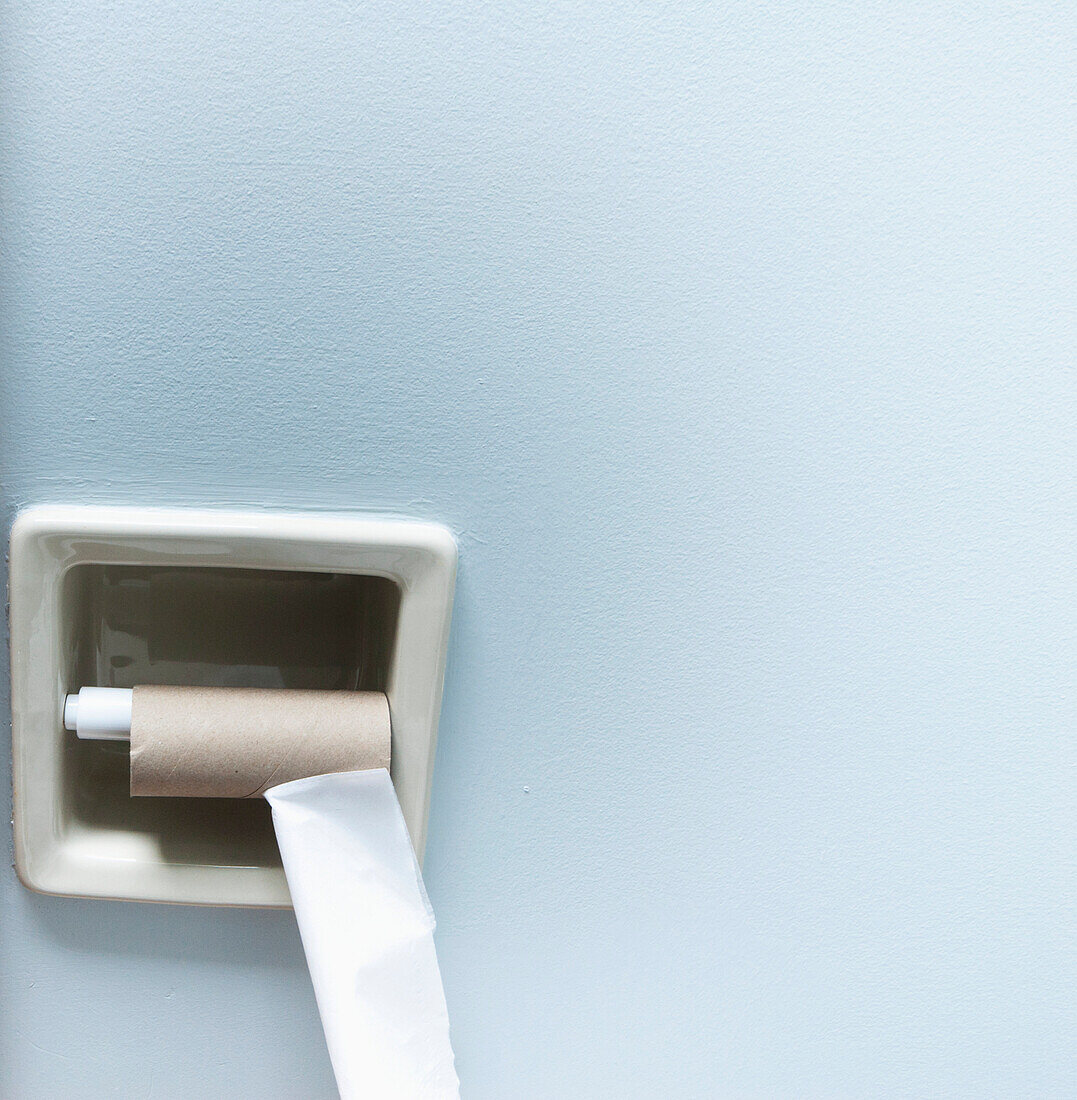 Empty Roll of Toilet Paper, Vancouver, British Columbia, Canada
