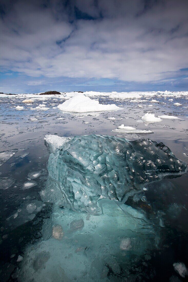 Hard, highly compressed translucent ice floats among brash ice, Penola Strait, Antarctic Peninsula.