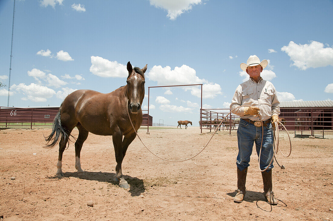 Elderly Cowboy With Horse in Corral, Texas, USA