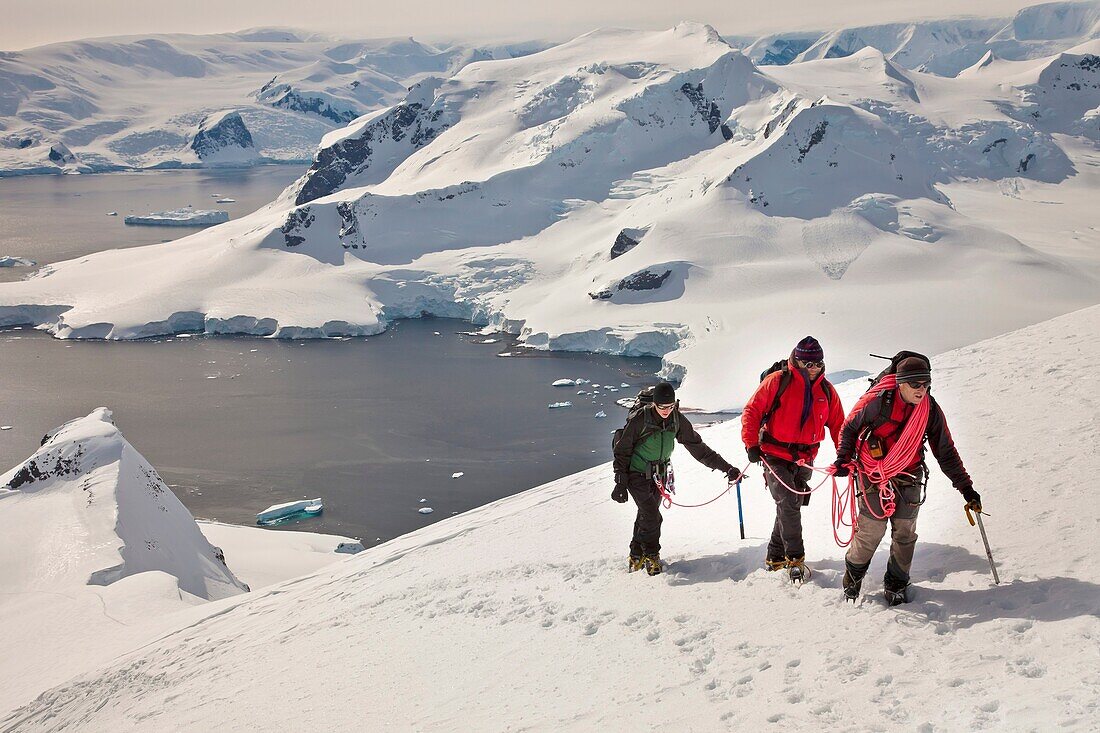 Climbers reach summit Mt Don Roberts above Paradise Bay, Antarctic Peninsula