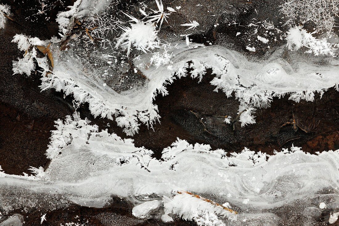 Ice and frost patterns along edge of small creek in early winter