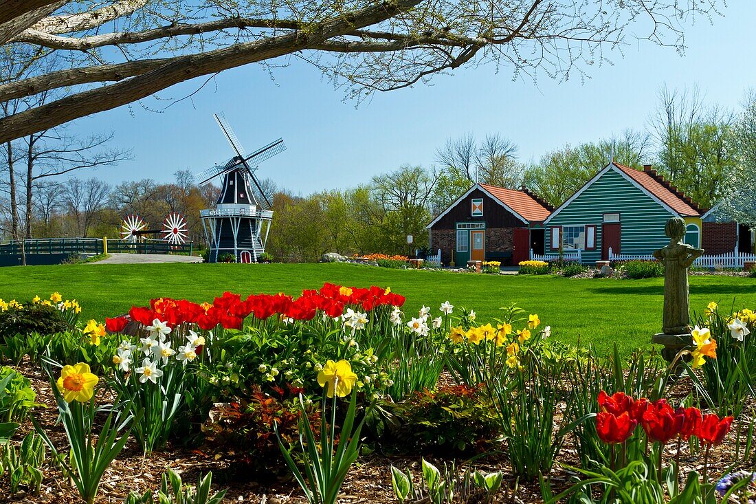 A windmill with spring tulip flowers on Windmill Island in Holland, Michigan, USA