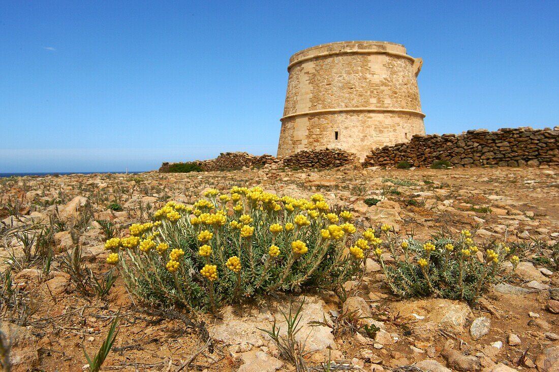 Sa Gavina Turm Formentera Balearen Spanien Pitiusas