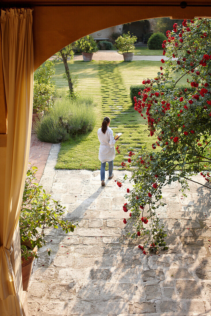 View through rose draped arcades into the garden, Agriturismo and vineyard Ca' Orologio, Venetia, Italy