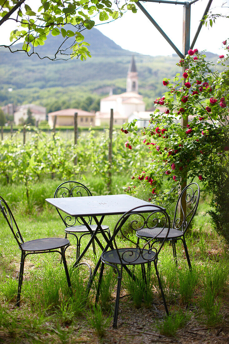 Seating area in the garden with hanging roses, Agriturismo and vineyard Ca' Orologio, Venetia, Italy