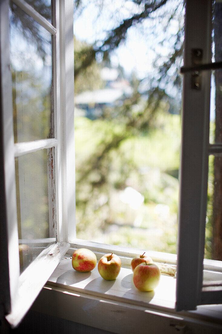 Äpfel auf einer Fensterbank, Biohotel Grafenast, Am Hochpillberg, Schwaz, Tirol, Österreich