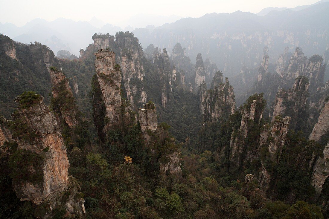 Hunan, Zhangjiajie National Forest Park, Zhangjiajie, Beauty in Nature, Mt Tianzi, Mount Tianzi